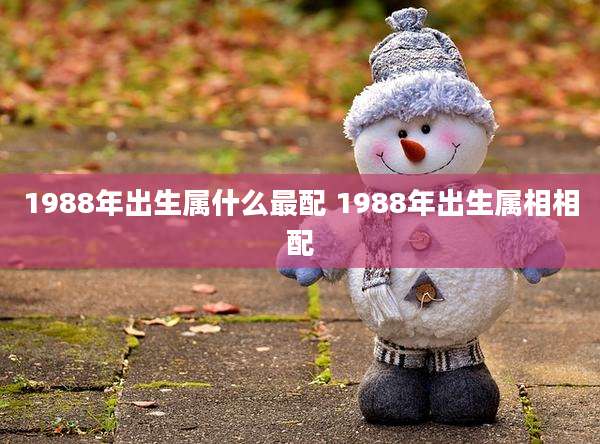 1988年出生属什么最配 1988年出生属相相配
