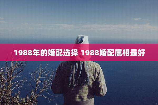 1988年的婚配选择 1988婚配属相最好