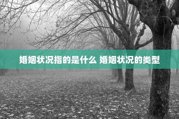 婚姻状况指的是什么 婚姻状况的类型