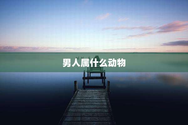 男人属什么动物