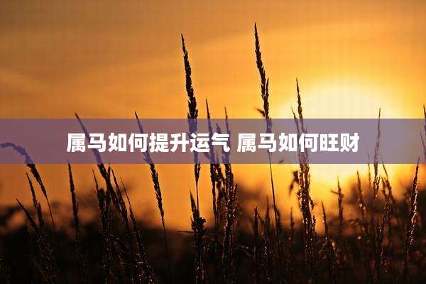属马如何提升运气 属马如何旺财
