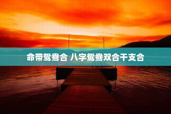 命带鸳鸯合 八字鸳鸯双合干支合