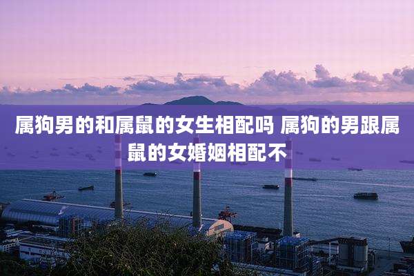 属狗男的和属鼠的女生相配吗 属狗的男跟属鼠的女婚姻相配不