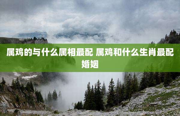 属鸡的与什么属相最配 属鸡和什么生肖最配婚姻