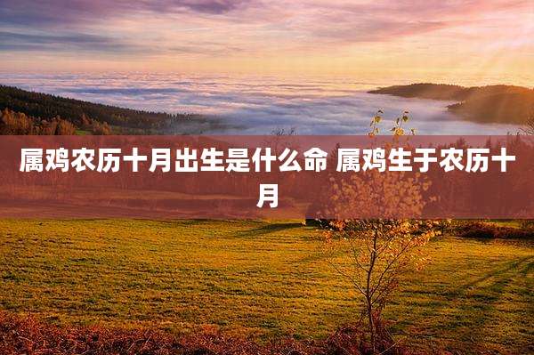 属鸡农历十月出生是什么命 属鸡生于农历十月