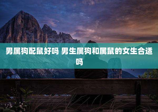 男属狗配鼠好吗 男生属狗和属鼠的女生合适吗