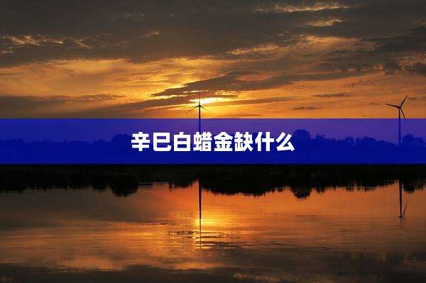 辛巳白蜡金缺什么