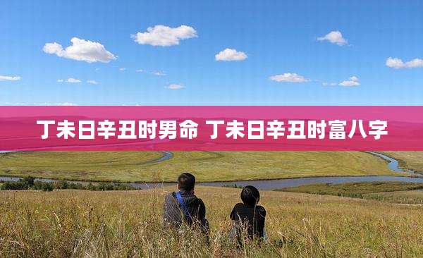 丁未日辛丑时男命 丁未日辛丑时富八字