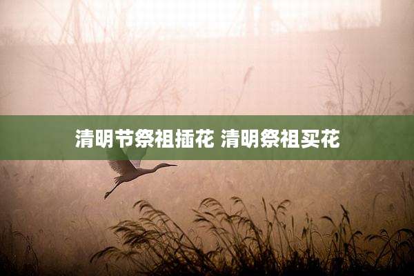 清明节祭祖插花 清明祭祖买花