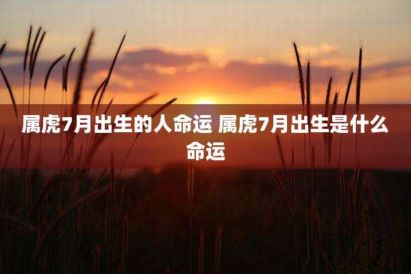 属虎7月出生的人命运 属虎7月出生是什么命运