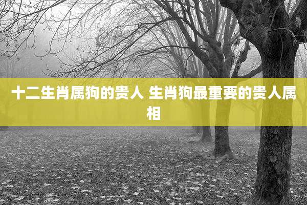 十二生肖属狗的贵人 生肖狗最重要的贵人属相