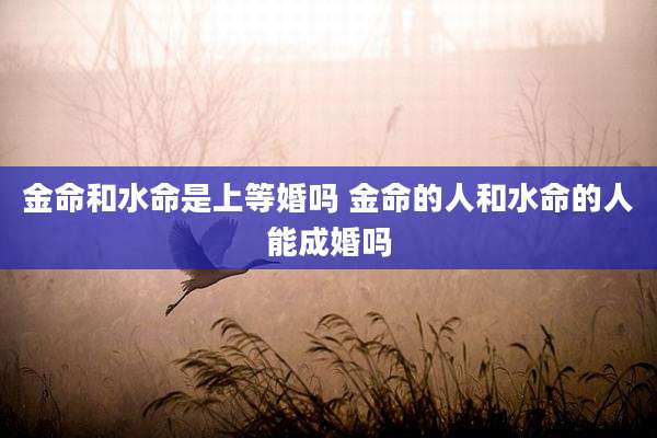 金命和水命是上等婚吗 金命的人和水命的人能成婚吗