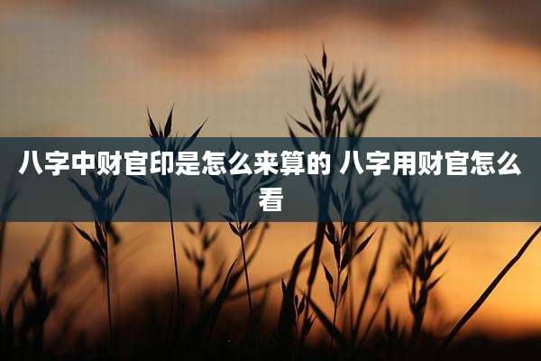 八字中财官印是怎么来算的 八字用财官怎么看