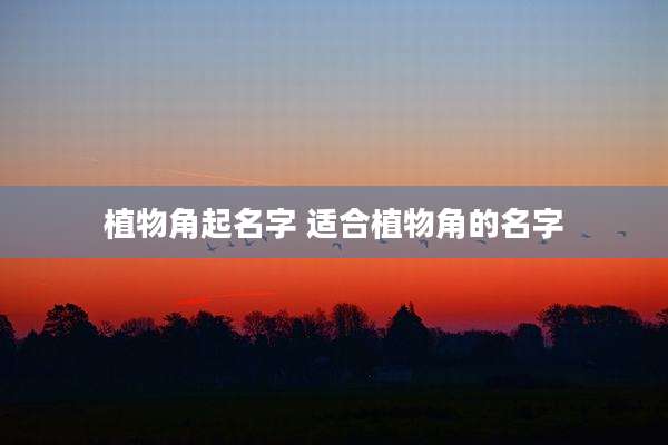 植物角起名字 适合植物角的名字