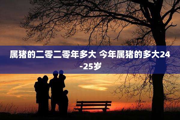 属猪的二零二零年多大 今年属猪的多大24-25岁