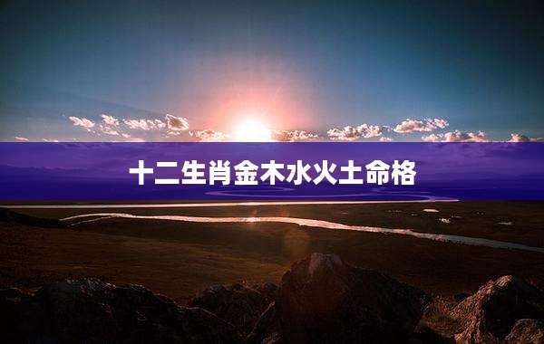 十二生肖金木水火土命格