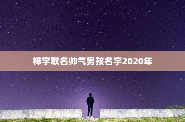 梓字取名帅气男孩名字2020年