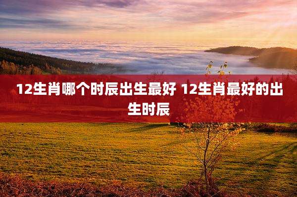 12生肖哪个时辰出生最好 12生肖最好的出生时辰
