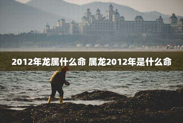 2012年龙属什么命 属龙2012年是什么命