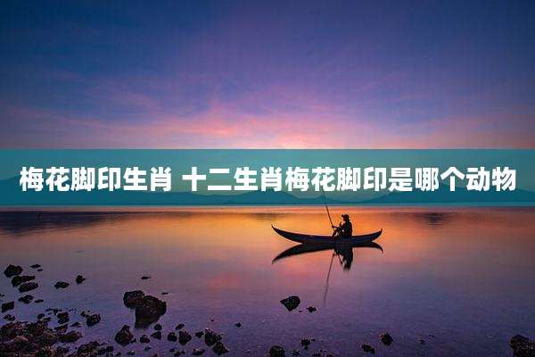 梅花脚印生肖 十二生肖梅花脚印是哪个动物