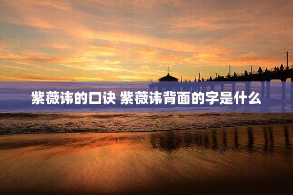 紫薇讳的口诀 紫薇讳背面的字是什么