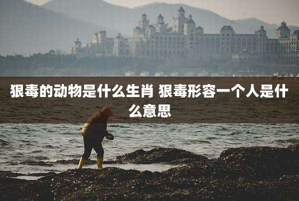 狠毒的动物是什么生肖 狠毒形容一个人是什么意思