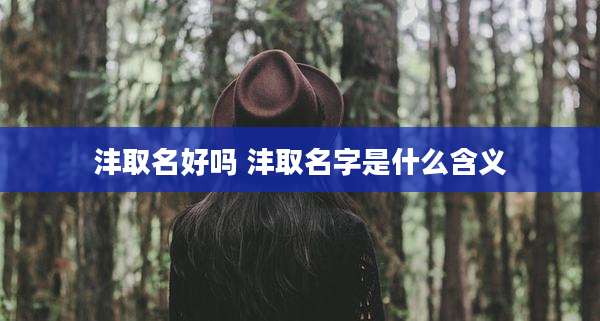 沣取名好吗 沣取名字是什么含义