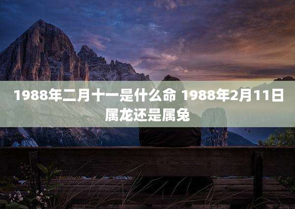 1988年二月十一是什么命 1988年2月11日属龙还是属兔