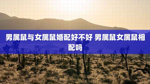男属鼠与女属鼠婚配好不好 男属鼠女属鼠相配吗