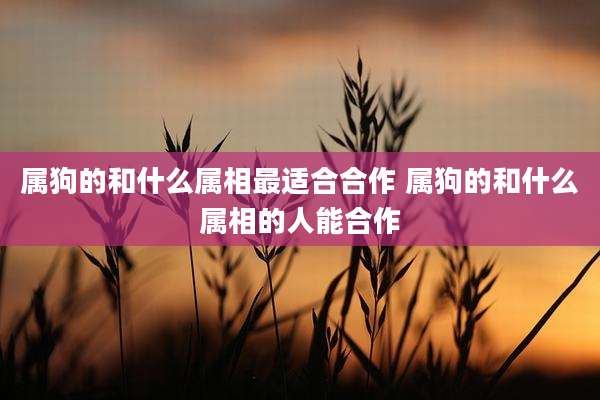 属狗的和什么属相最适合合作 属狗的和什么属相的人能合作