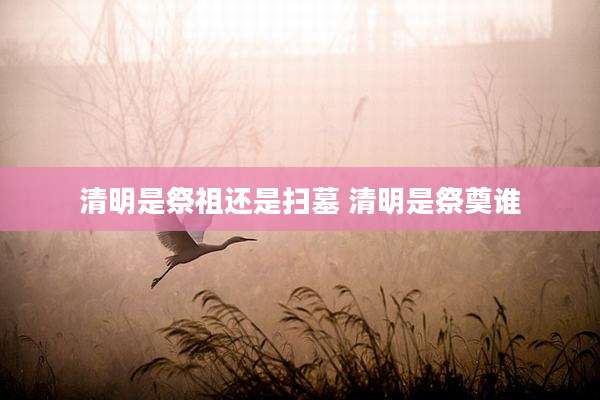 清明是祭祖还是扫墓 清明是祭奠谁