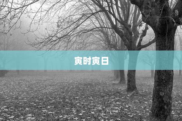 寅时寅日