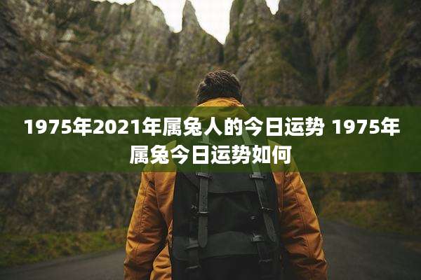 1975年2021年属兔人的今日运势 1975年属兔今日运势如何