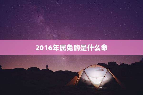 2016年属兔的是什么命
