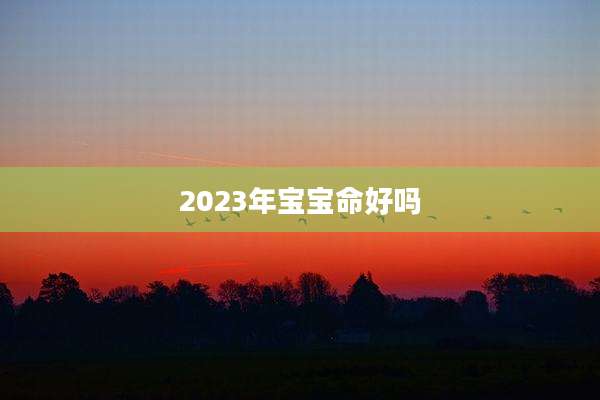 2023年宝宝命好吗