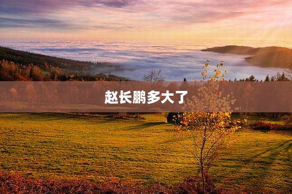 赵长鹏多大了