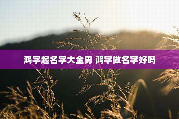鸿字起名字大全男 鸿字做名字好吗