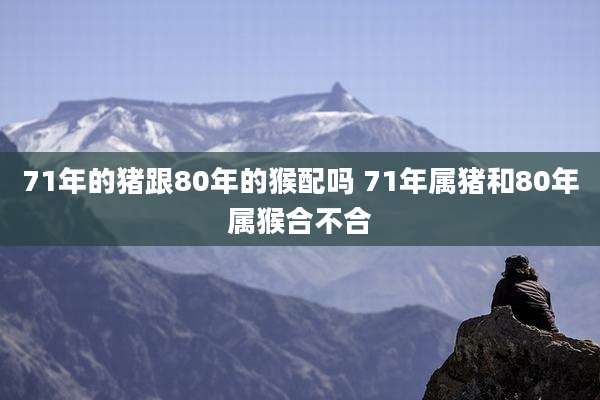 71年的猪跟80年的猴配吗 71年属猪和80年属猴合不合