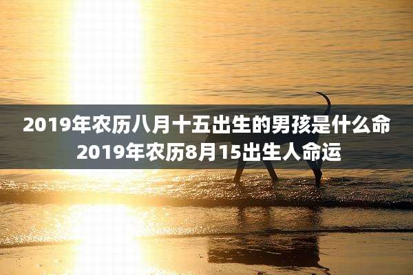 2019年农历八月十五出生的男孩是什么命 2019年农历8月15出生人命运