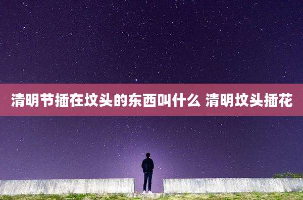 清明节插在坟头的东西叫什么 清明坟头插花