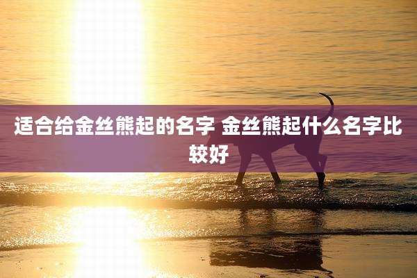 适合给金丝熊起的名字 金丝熊起什么名字比较好