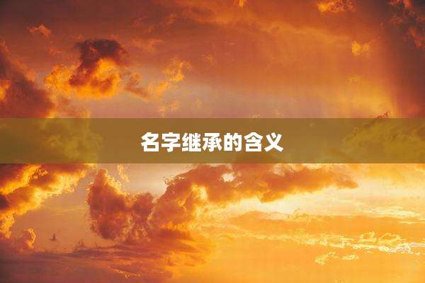 名字继承的含义
