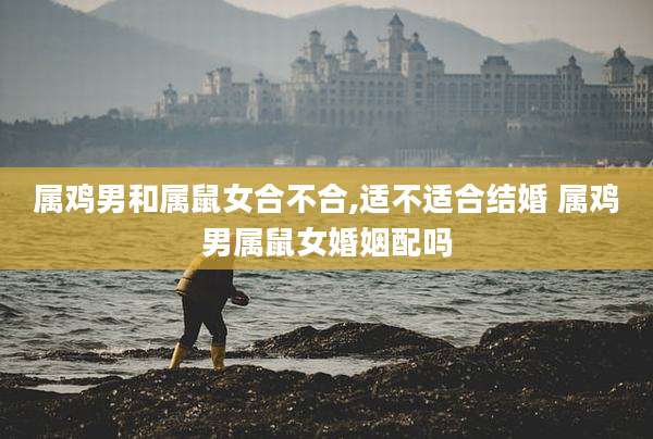 属鸡男和属鼠女合不合,适不适合结婚 属鸡男属鼠女婚姻配吗
