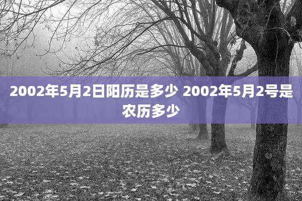 2002年5月2日阳历是多少 2002年5月2号是农历多少