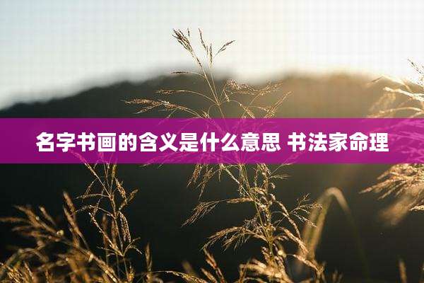 名字书画的含义是什么意思 书法家命理