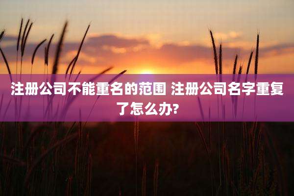 注册公司不能重名的范围 注册公司名字重复了怎么办?