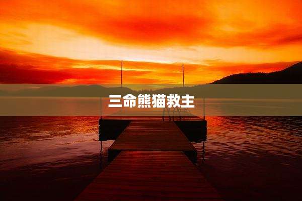 三命熊猫救主