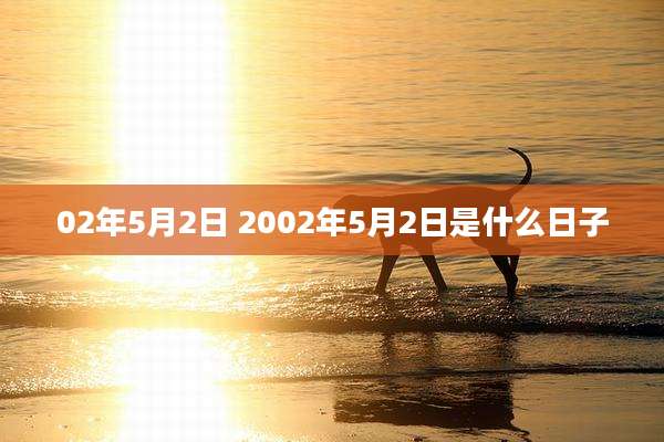 02年5月2日 2002年5月2日是什么日子