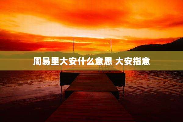 周易里大安什么意思 大安指意