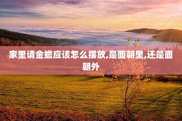 家里请金蟾应该怎么摆放,是面朝里,还是面朝外